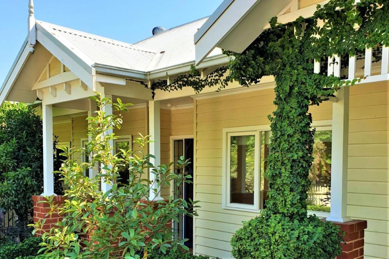Healesville House - Fig Tree House 외부 사진